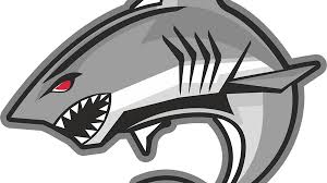 Image result for Huddersfield Junior Sharks Arlfc