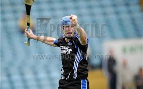 Image result for Causeway Hurling Club