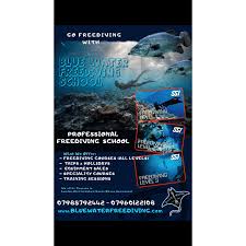 Image result for Blue Water Freediving School