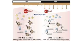 IRE 0.0 IRE 7.5에 대한 이미지 검색결과