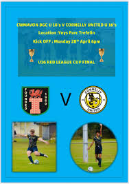 Image result for Cwmafan Football Club