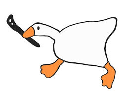 Image result for Yorkshire Ladies Octopush Club