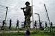 PAK TROOPS VIOLATE CEASEFIRE; TARGET INDIAN POSTS IN MENDHAR, HAMIRPUR