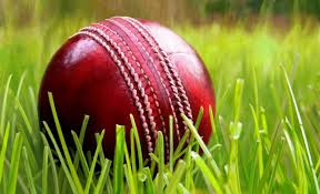 Image result for Alcester & Ragley CC
