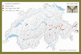 Attēlu rezultāti vaicājumam “Eupithecia sinuosaria”