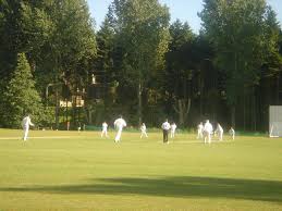 Image result for Oxshott Village Cricket Club