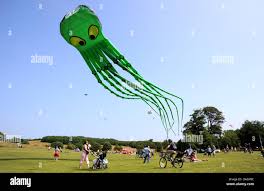 Image result for Brighton Kite Fliers