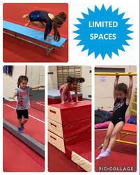 Image result for Harriers Acrobatic Gym Club