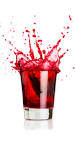 2012 January « Nutritionistics