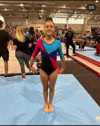 Image result for Gym Stars