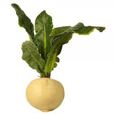 Image result for Rettich