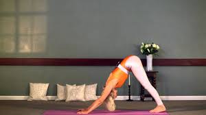 Image result for Barbara Currie School Of Yoga