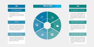 Image result for tbn