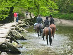 Image result for Porlock Vale Riding School