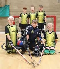 Image result for Letchworth Roller Hockey Club