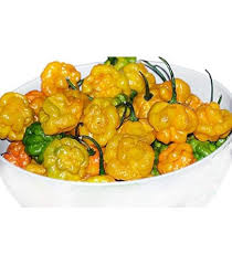 Afbeeldingsresultaat voor yellow mushroom hot pepper