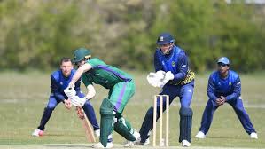 Image result for Saffron Walden Cricket Club