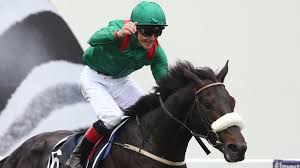 Image result for Epsom Oaks Netball Club