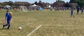 Image result for Woking Boys & Woking Fc (Part Of Woking Boys & Girls Fc)