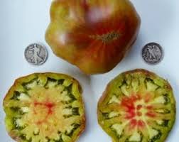 Afbeeldingsresultaat voor black elephant tomato