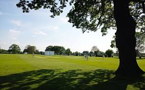 Image result for Tiffin Netball Club