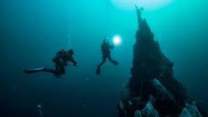 Image result for Great Western Divers