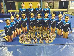 Image result for Tamworth Olympic Gymnastics Club