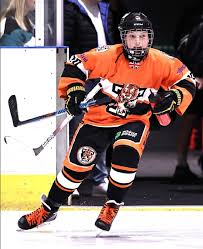 Image result for Telford Junior Ice Hockey Club