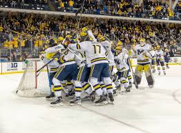 Image result for Ice Hockey International