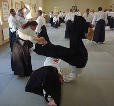 Image result for West Midlands Aikido Association Dojo
