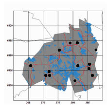 Attēlu rezultāti vaicājumam “Campylophyllum sommerfeltii”