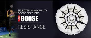 Image result for Linton Badminton Furies Badminton Club