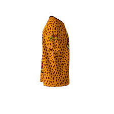 Image result for Cheetahs Softball Team