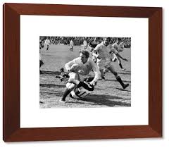 Image result for Swansea Rfc