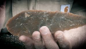 Image result for feuille-laurier-silex