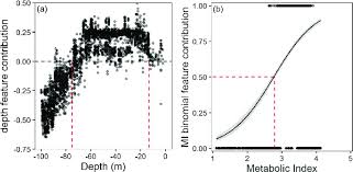 Image result for Chrysoblephus laticeps