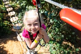 Image result for Go Ape! Whinlatter