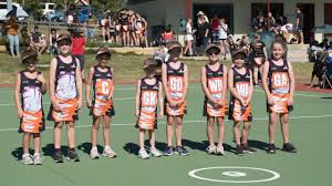 Image result for Civil Service (Ipswich) Netball Club