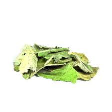 Attēlu rezultāti vaicājumam “Verbascum thapsus leaf”