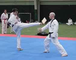 Image result for Invertay Taekwondo Club