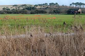 Image result for Budleigh Salterton Cricket Club