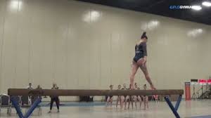 Image result for Thornton Sport Gymnastics