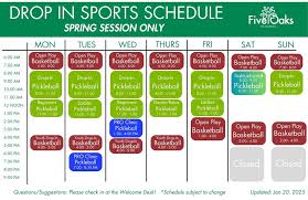 Image result for Janets Drop In Badminton Club