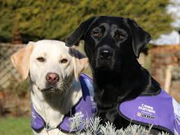 Image result for Cockburnspath Bowling Club