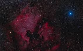 Attēlu rezultāti vaicājumam “Cygnus”