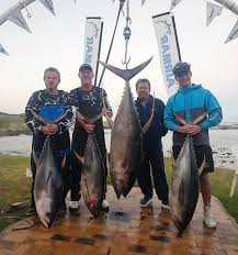 Image result for Braintree Sea Angling Club