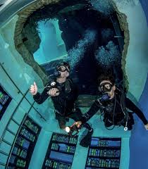 Image result for Ruislip Snorkelling Club