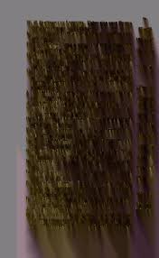 Attēlu rezultāti vaicājumam “Thecabius affinis imago”