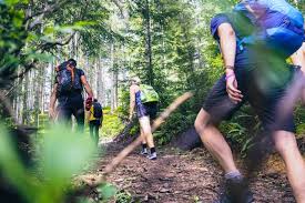 Image result for Billingham Marsh House Harriers