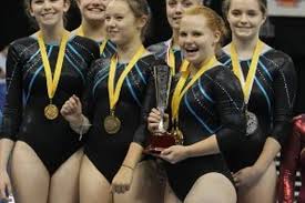 Image result for Edgbarrow Trampoline Club